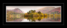 Grasmere trees Ref-PC1027