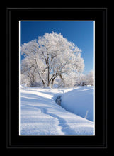 Rothbury snow 4 Ref-SC1095