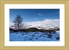 Winter Cheviots Ref-SC2118