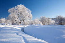 Rothbury snow 3 Ref-SC1093