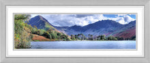 Buttermere Pines 1 Ref-PC2372