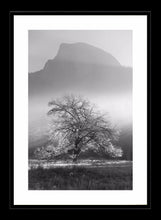 Yosemite Valley 2 Ref-SBW2110