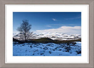 Winter Cheviots Ref-SC2118