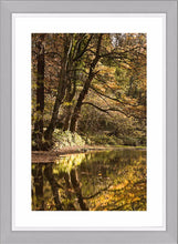 Plessey Woods autumn 3 Ref-SCPWA3