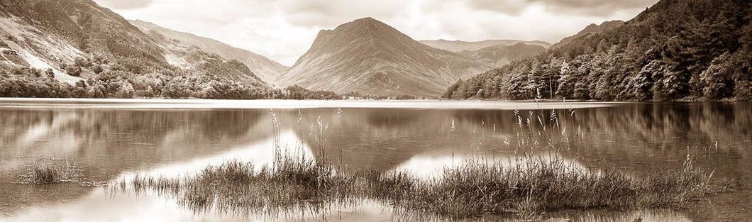 Buttermere grass 2 Ref-PS2320