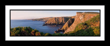 Fancove Head 3 Ref-PC1074