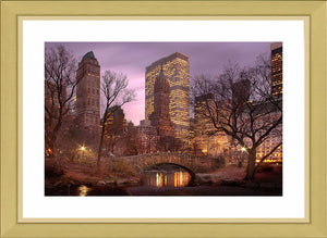 Central Park Ref-SCCP