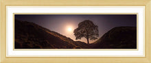 Sycamore Gap by Moonlight Ref-PC2343
