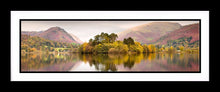 Grasmere trees Ref-PC1027