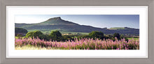 Rosebury Topping Ref-PC262