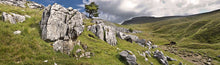 Ingleborough limestone Ref-PC245