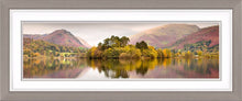 Grasmere trees Ref-PC1027