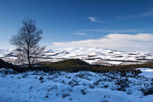 Winter Cheviots Ref-SC2118