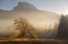 Yosemite Valley 1 Ref-SC2109