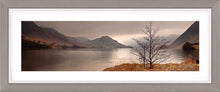 Crummock Water tree Ref-PC347