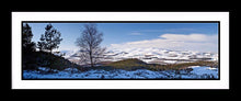 Thrunton Woods snow 2 Ref-PC345