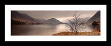 Crummock Water tree Ref-PC347