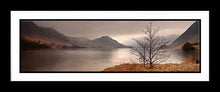 Crummock Water tree Ref-PC347