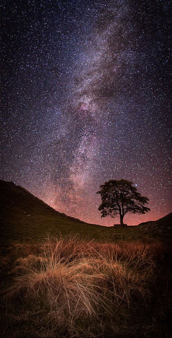 Sycamore Gap Milky Way Ref-SC2339