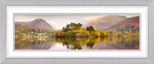 Grasmere trees Ref-PC1027