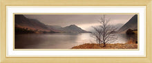 Crummock Water tree Ref-PC347