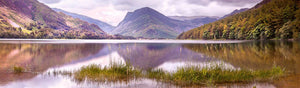 Buttermere grass 2 Ref-PC2320