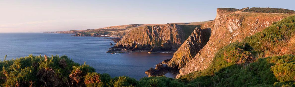 Fancove Head 3 Ref-PC1074