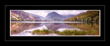 Buttermere grass 2 Ref-PC2320