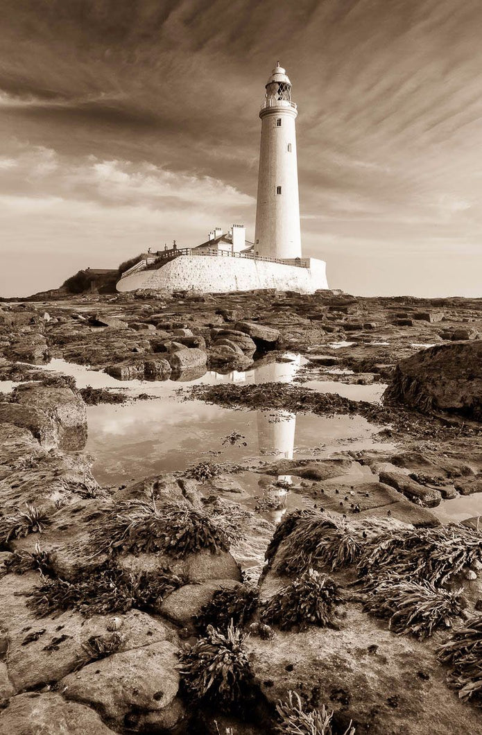 St Mary's rocks Ref-SS1094