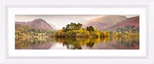 Grasmere trees Ref-PC1027