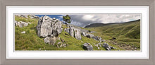 Ingleborough limestone Ref-PC245