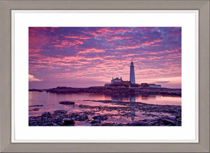 Saint Mary's purple dawn Ref-SC2084