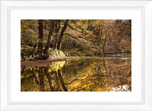 Plessey Woods autumn 4 Ref-SCPWA4