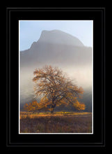 Yosemite Valley 2 Ref-SC2110