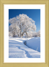 Rothbury snow 4 Ref-SC1095