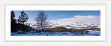 Thrunton Woods snow 2 Ref-PC345