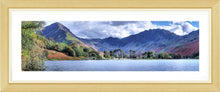 Buttermere Pines 1 Ref-PC2372
