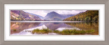 Buttermere grass 2 Ref-PC2320