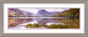 Buttermere grass 2 Ref-PC2320