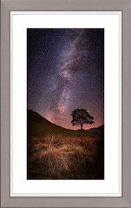 Sycamore Gap Milky Way Ref-SC2339