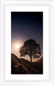 Sycamore Gap by moonlight Ref-SCSGBM