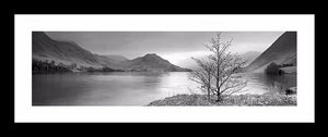 Crummock Water tree Ref-PBW347