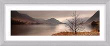 Crummock Water tree Ref-PC347