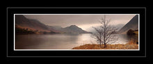 Crummock Water tree Ref-PC347