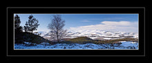 Thrunton Woods snow 2 Ref-PC345