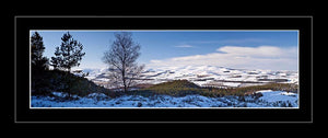 Thrunton Woods snow 2 Ref-PC345