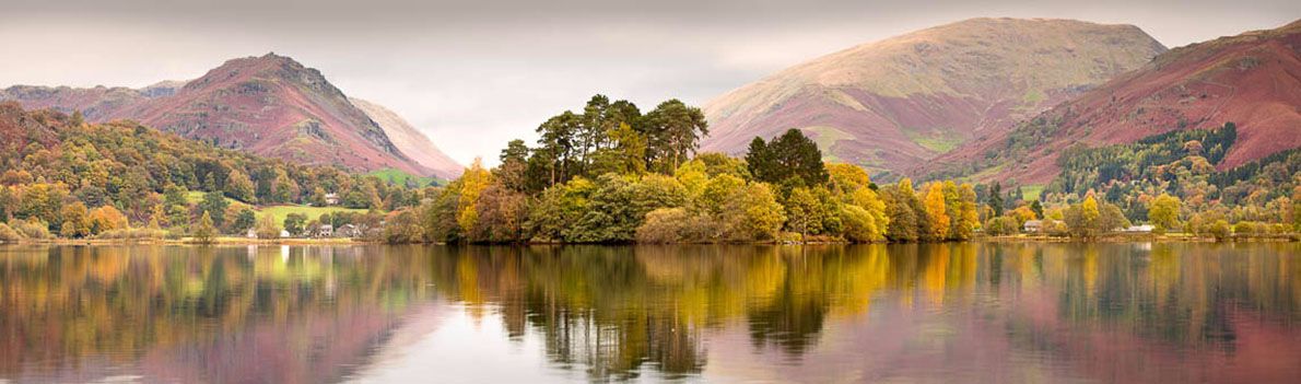 Grasmere trees Ref-PC1027