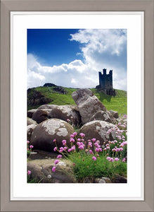 Flowers and rocks at Dunstanburgh Castle Ref-SCFRDC