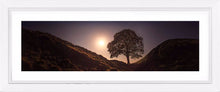 Sycamore Gap by Moonlight Ref-PC2343