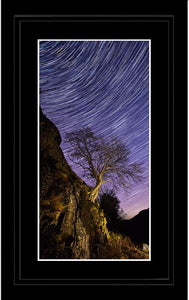 Rannerdale tree Star Trails Ref-SC2425